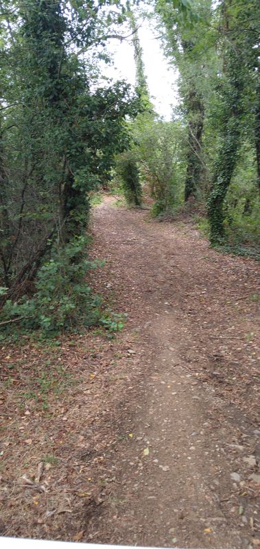 Givors to Lyon - Almost impassable! Gravel, Rocks,Slopes, Roman Road