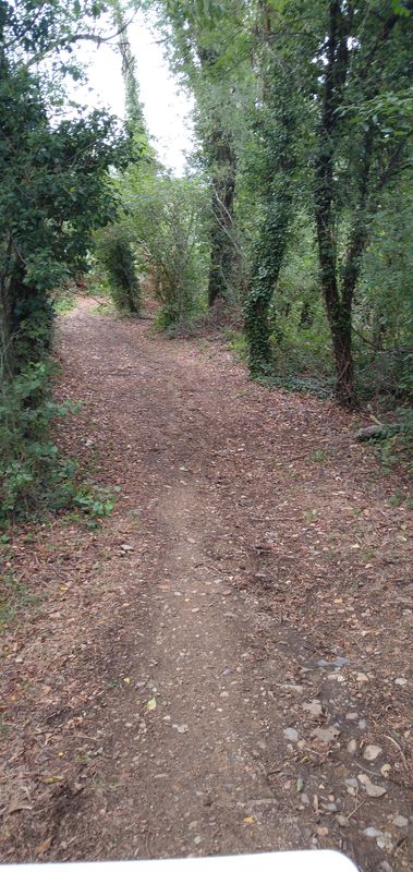 Givors to Lyon - Almost impassable! Gravel, Rocks,Slopes, Roman Road