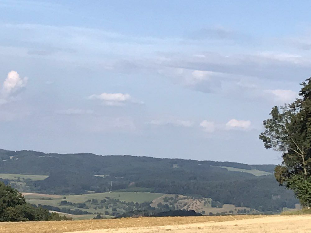 Anspruchsvolle Runde über die Ruine Rodenstein und Laudenau