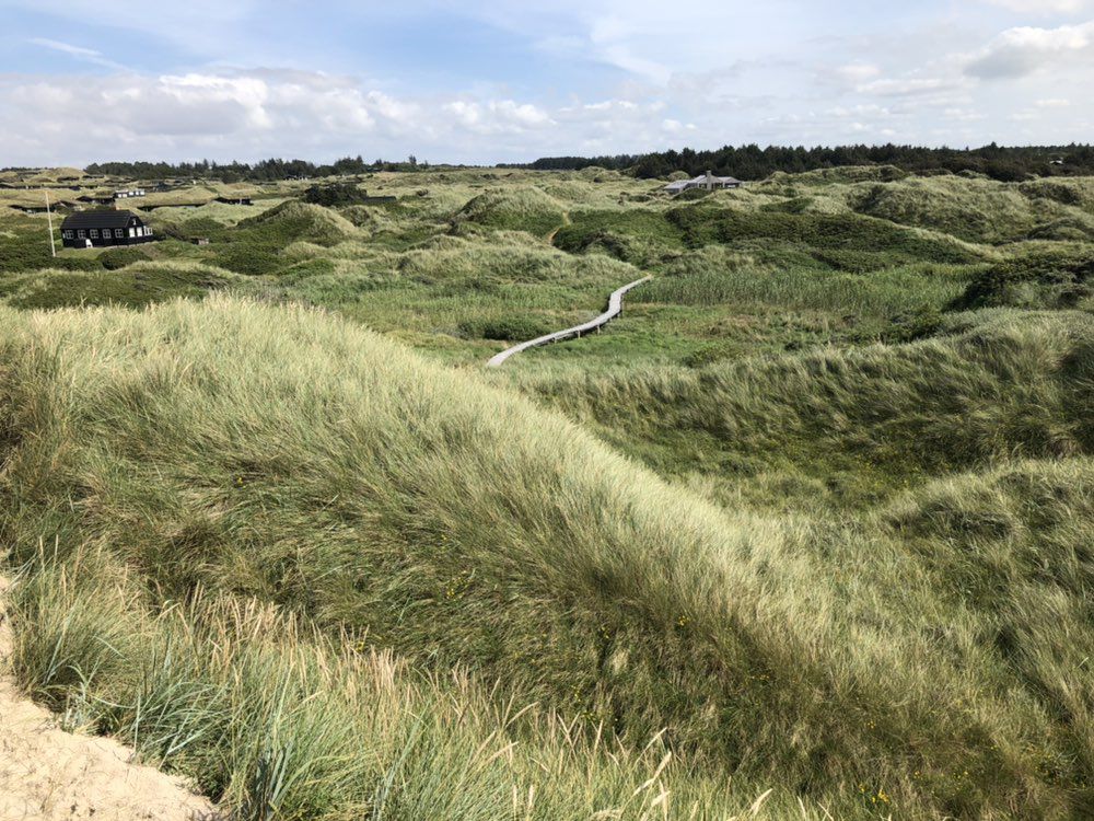 Dünen, Strand, STIs und Naturschutzgebiet Lille Norge