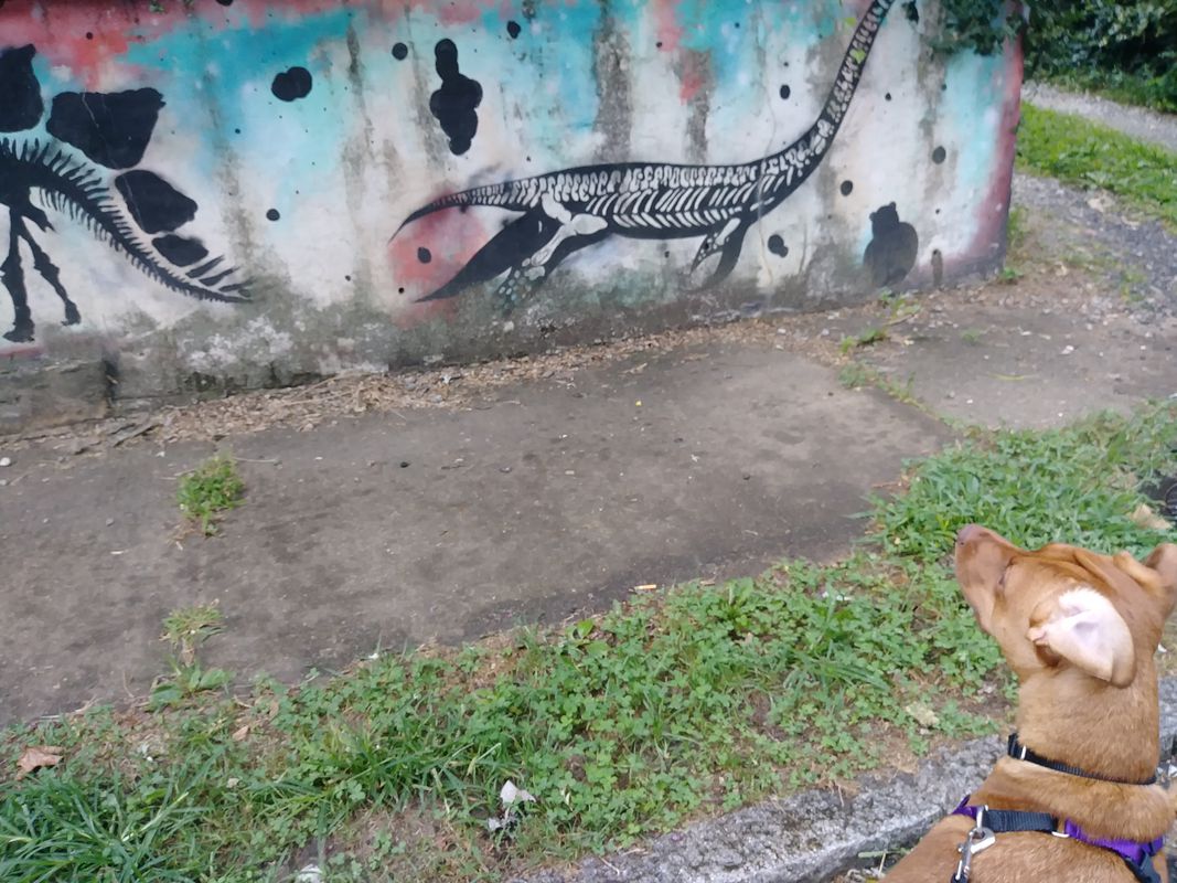 Csilla 8-10-19 Bike-Run