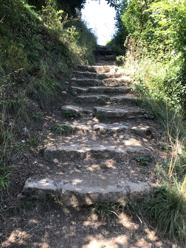 Ebringen&gt;Ruine Schneeburg&gt;Munzingen