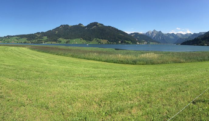 Foto 1 der Bikemap-Route "Sihlsee Tour" Foto 1 der Bikemap-Route "Sihlsee Tour"