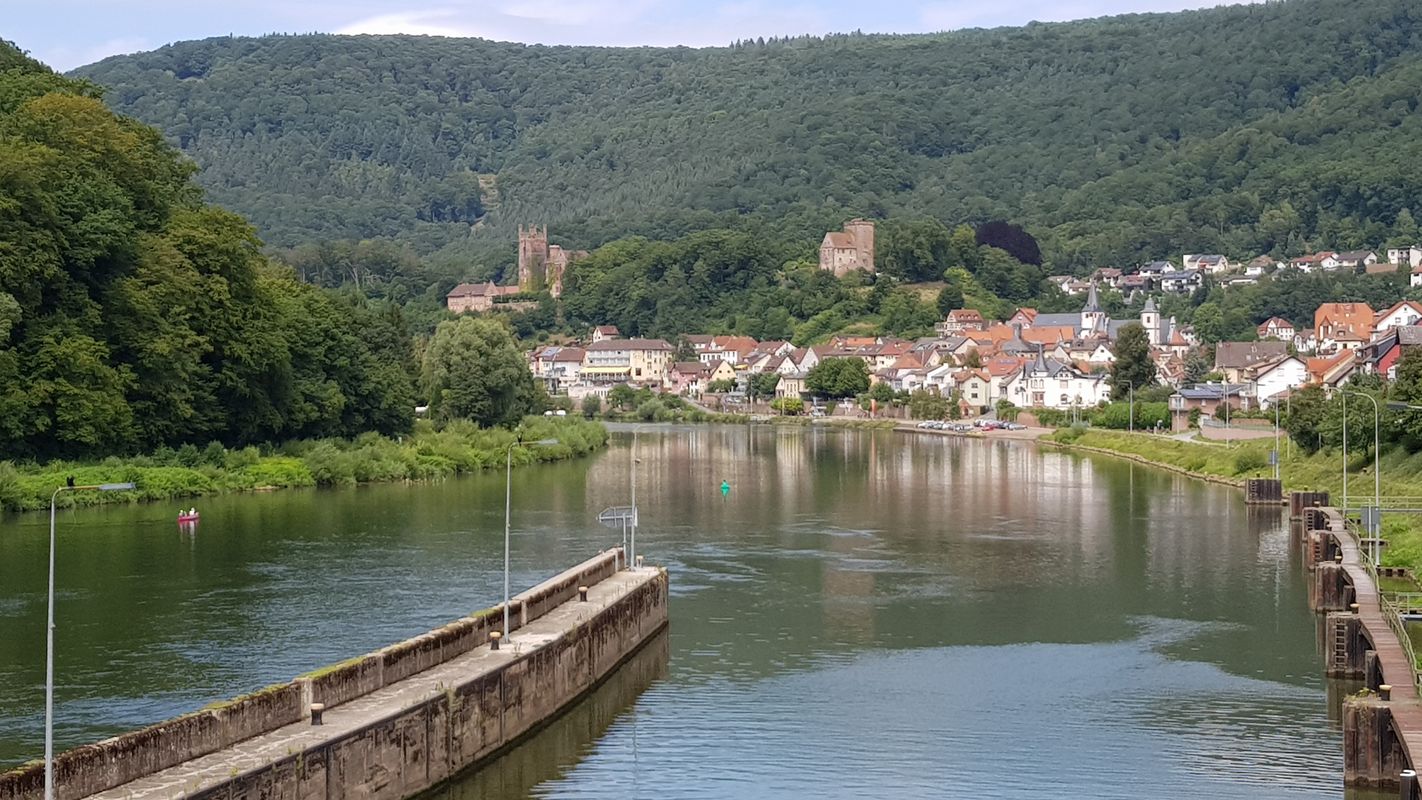 Heidelberg Neckartal