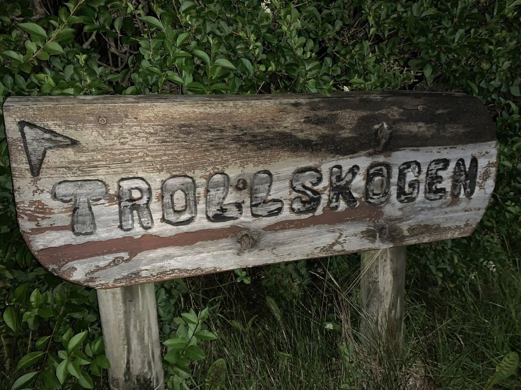 Steady ride from Kleivane to Troll skogen