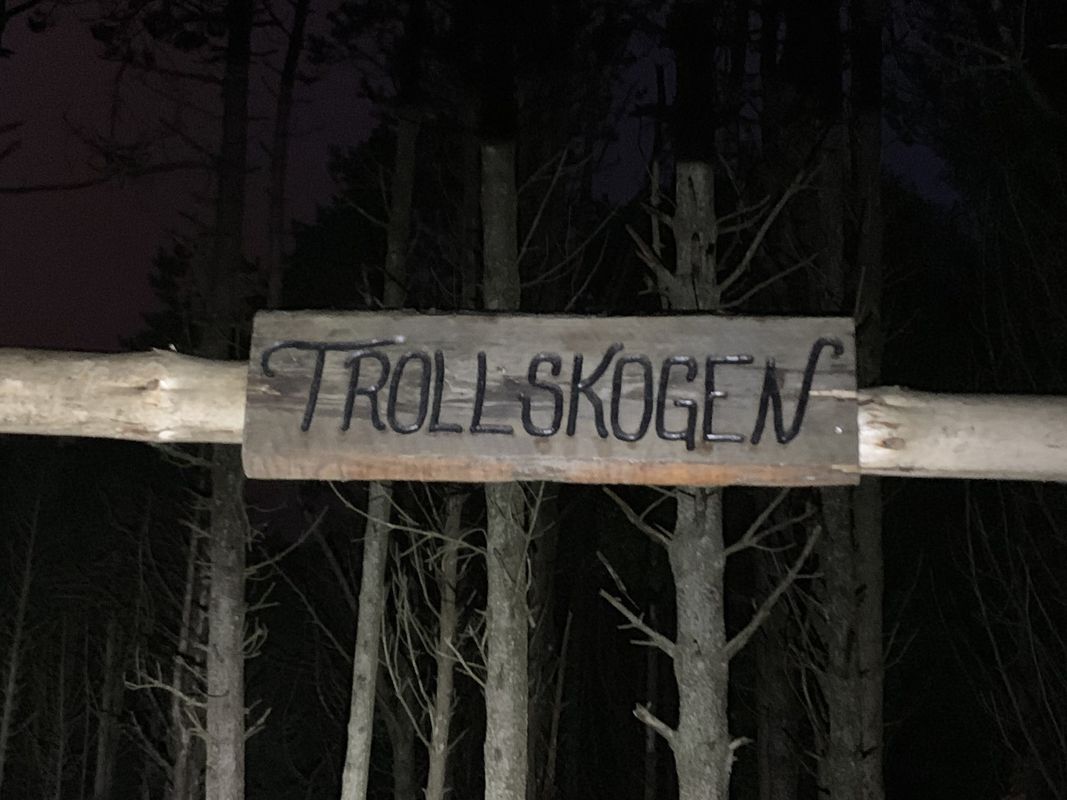 Steady ride from Kleivane to Troll skogen