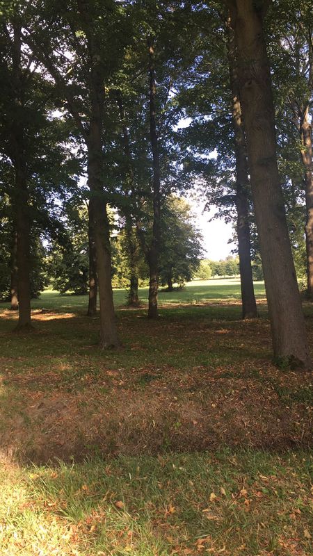 Easy ride in Marly-le-Roi
