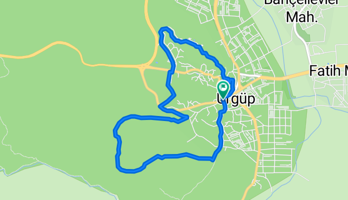 6 June 2010 Urgup Race Course TURKEY