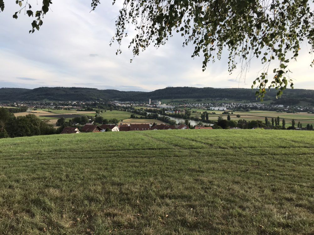 Küssaburg/Rheinhöhe