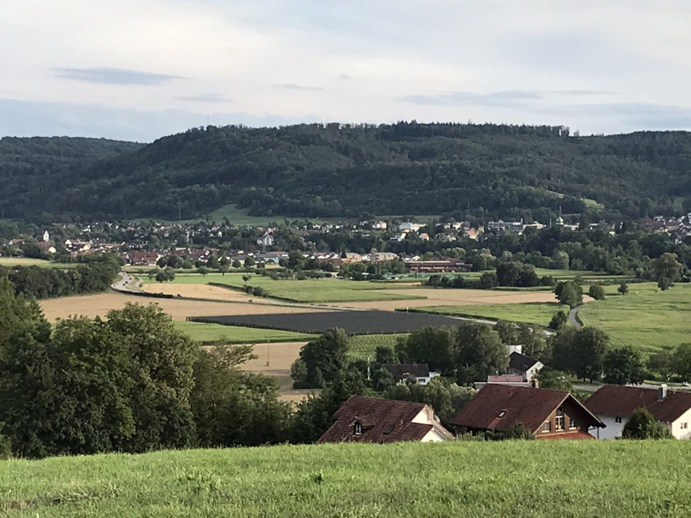 Küssaburg/Rheinhöhe