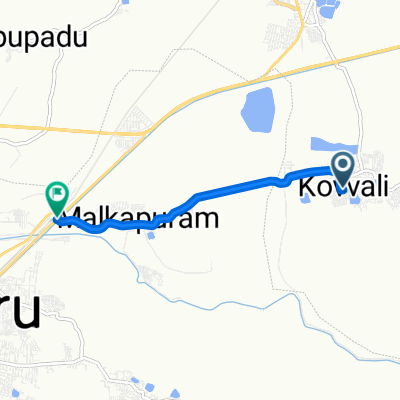 daily run