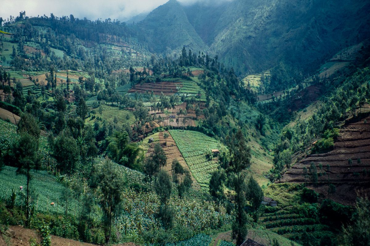 Sumatra-Java-Bali 22, Indonesien, Pasuruan - Wonokitri, 43 km