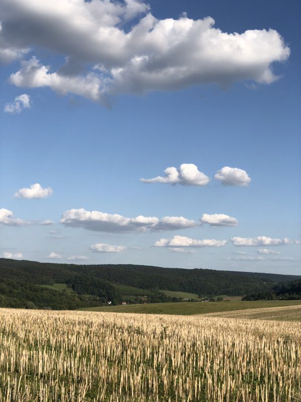 Von Falken(Kahn) nach Nazza
