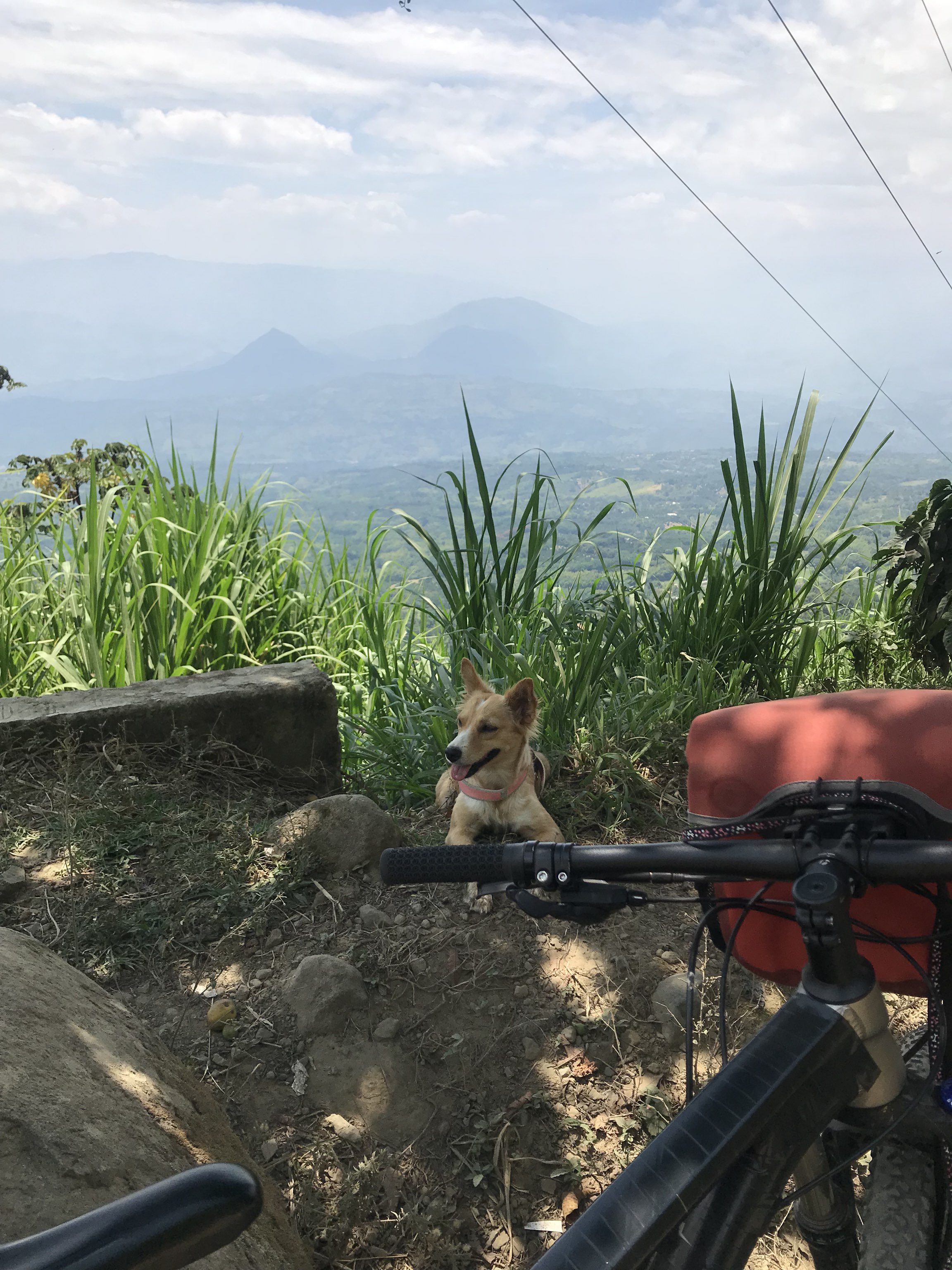 Entrenamiento Kiara 7Km subiendo a Río Frío