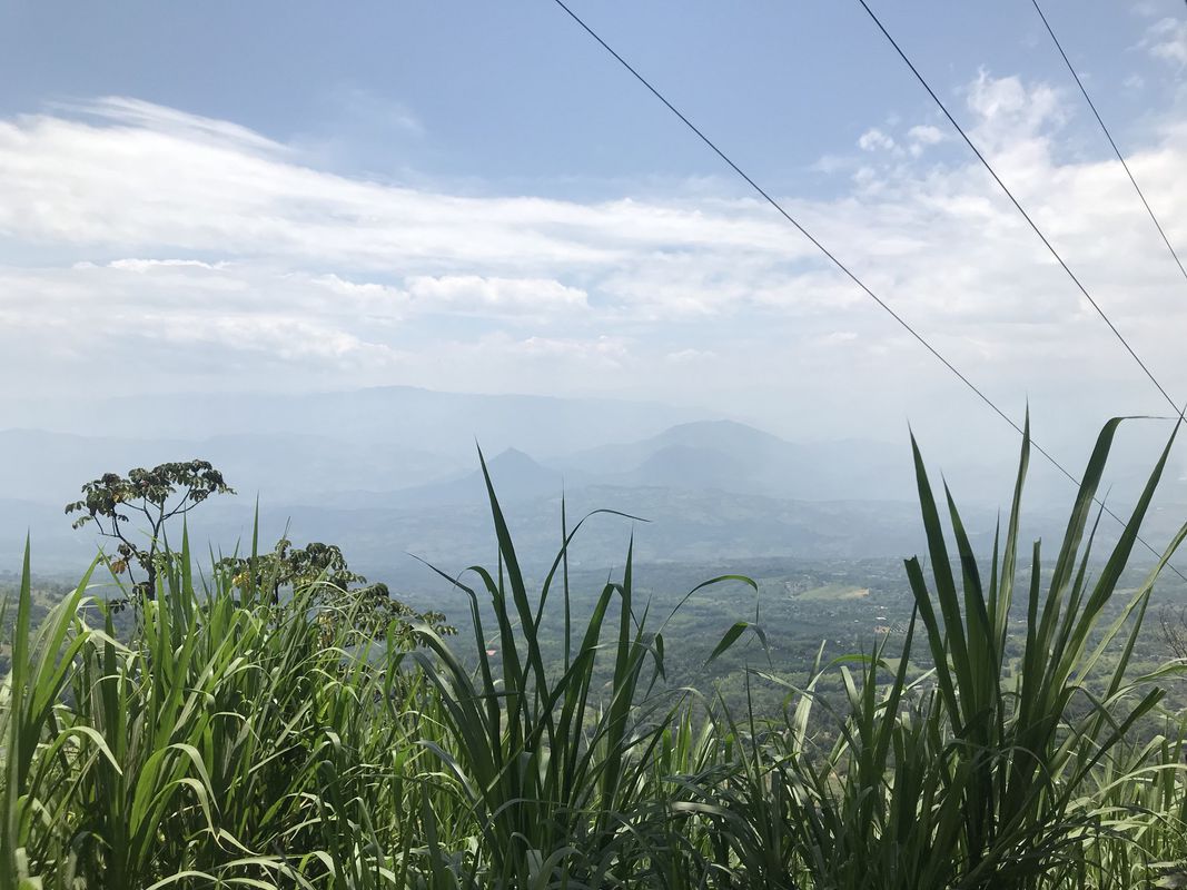 Entrenamiento Kiara 7Km subiendo a Río Frío