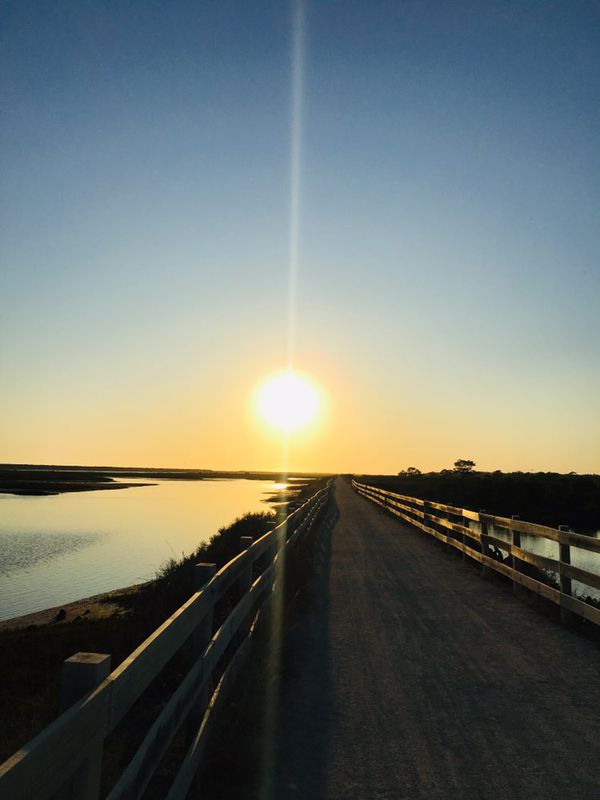 Amazing ride through the marsh and salt pans of Faro