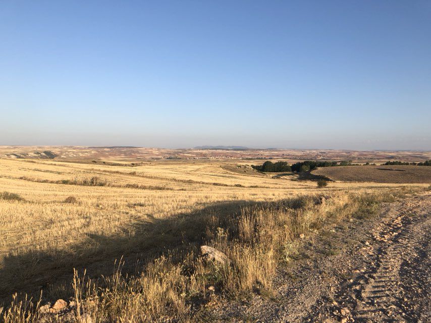 Paseo rápido en Escorihuela