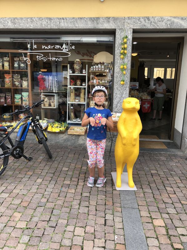 Gerade Fahrt in Angera