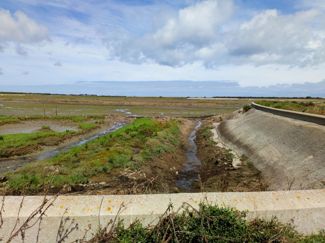 promenade dans les marais salants