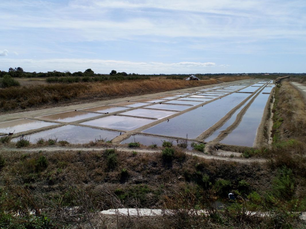 promenade dans les marais salants