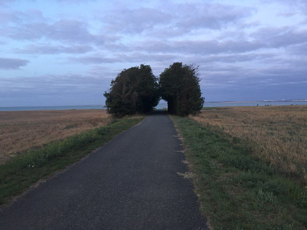 La Tranche-sur-Mer - Île-de-Rê