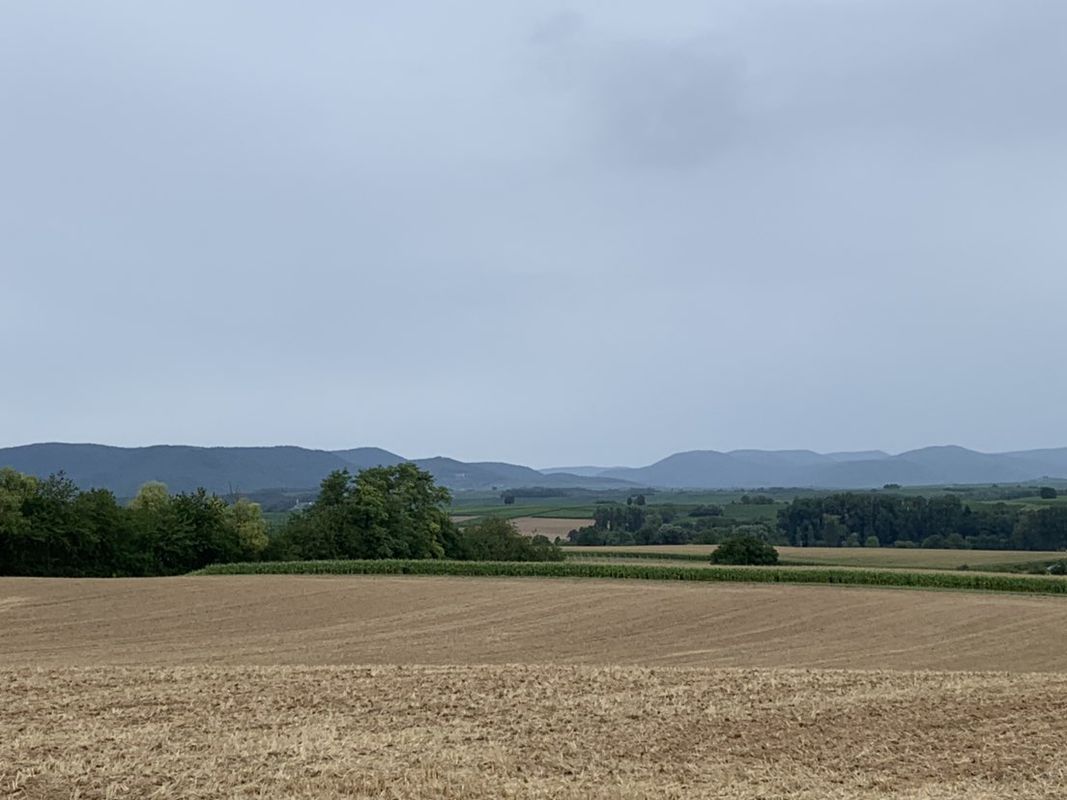 Teil 2a - Felix Geburtstagsradeln