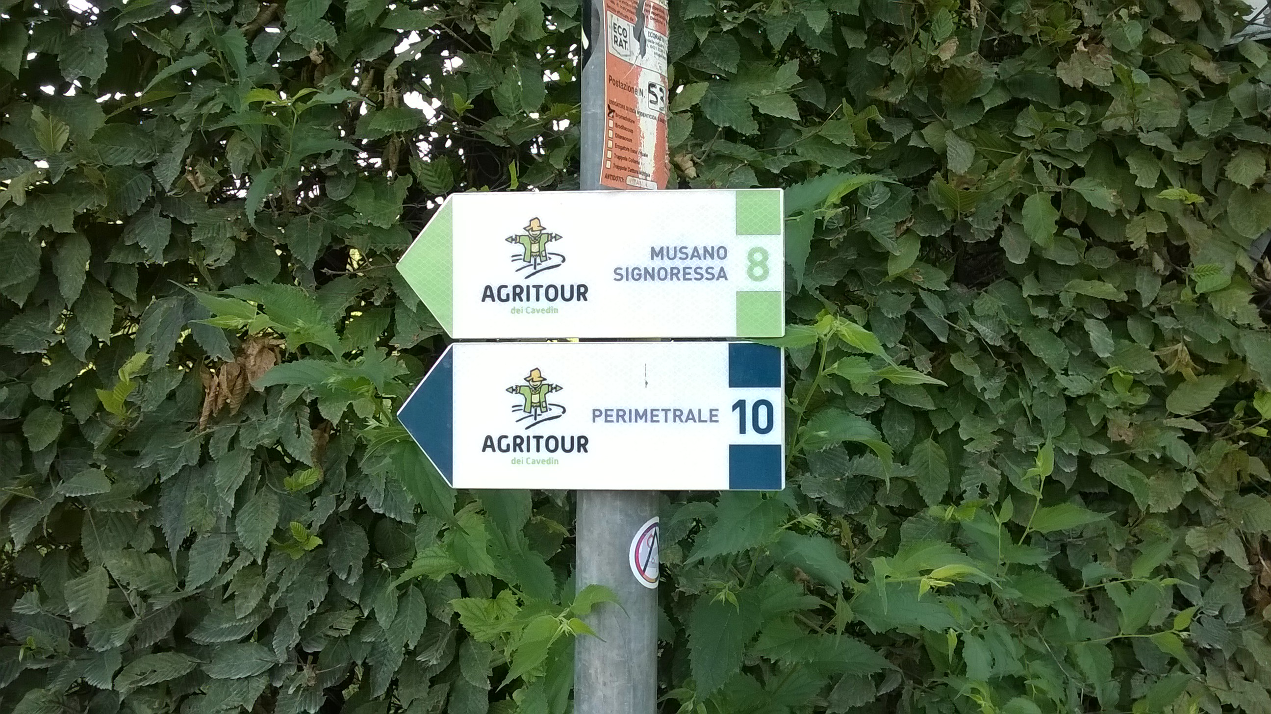 Highlight 11 along the Bikemap route "Trevignano Agritour dei Cavedin / Percorso 8"