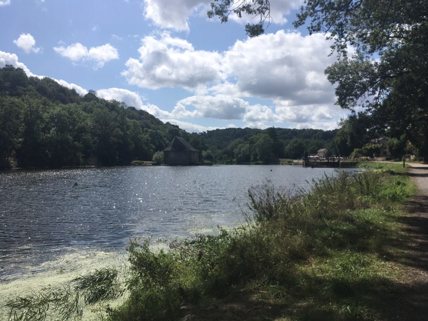 retour au bercail