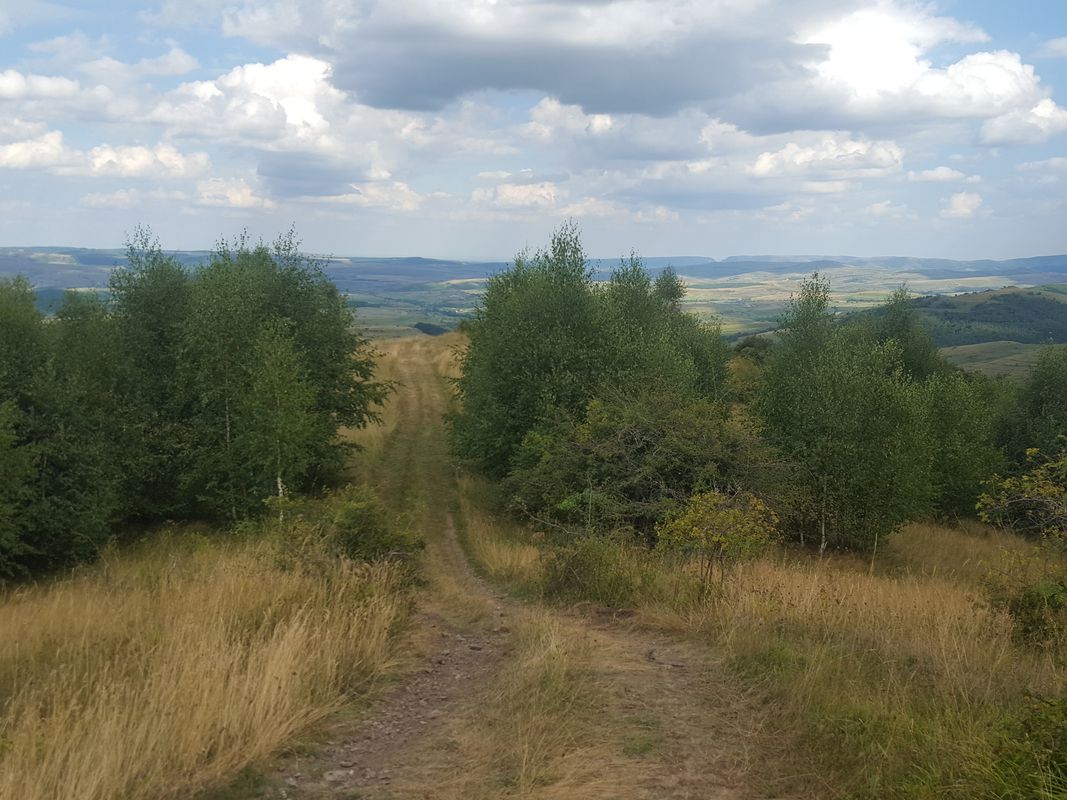 Savadisla - Lara - Savadisla