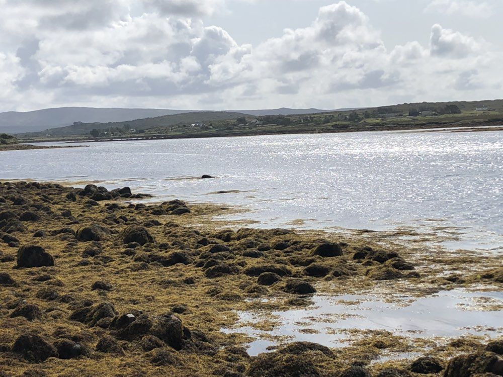 Relaxed route in Clifden