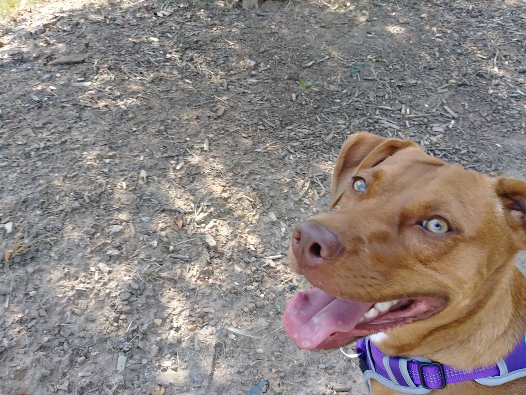 Csilla Bike-Run 8/19/2019