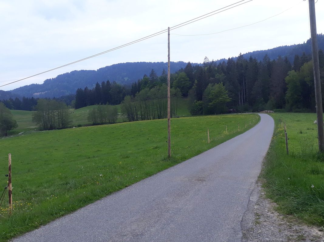 Über Lindenberg in den Bregenzer Wald und nach Bregenz