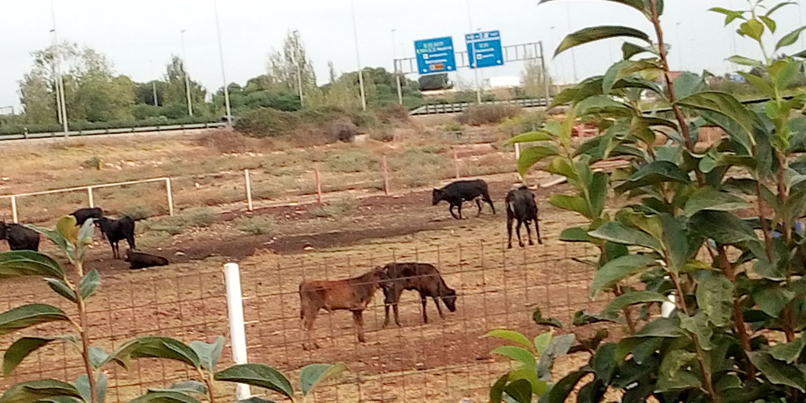 ruta 4