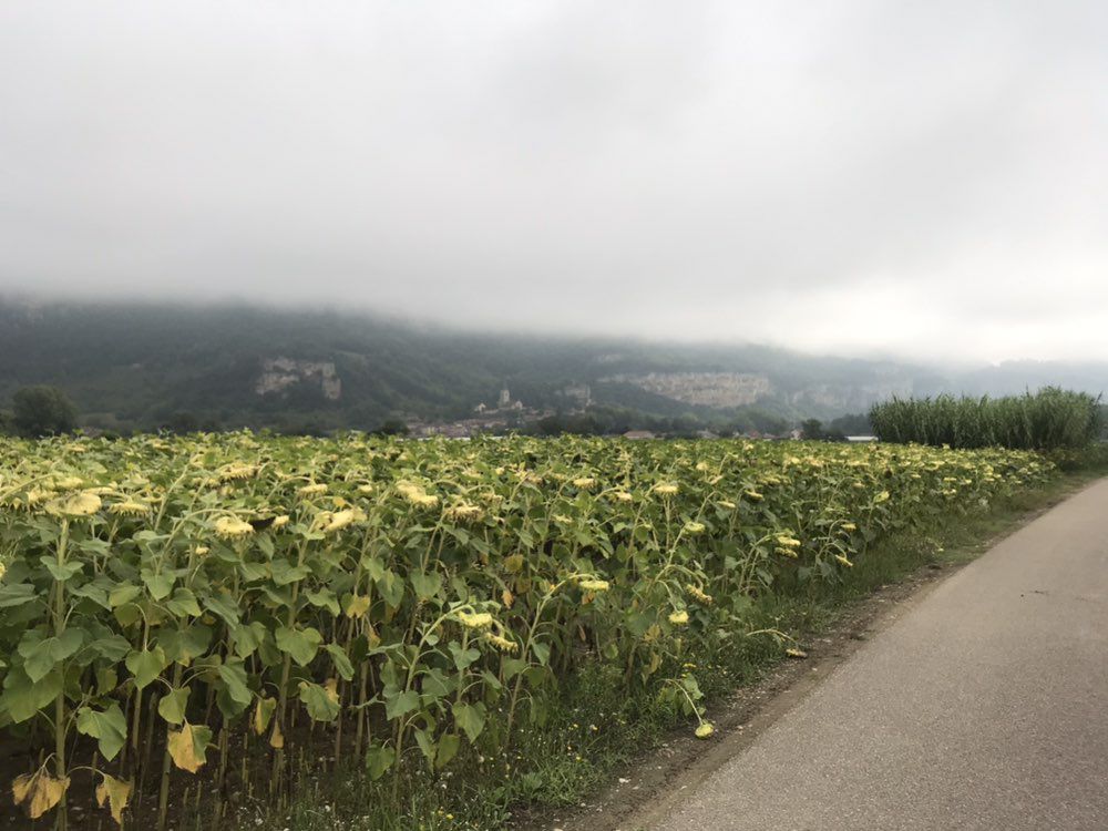 Balade en vélo sur la via Rhona, en famille 👨‍👩‍👧‍👦