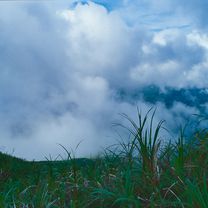 Sulawesi, Indonesia, 02, Tomohon - Inobontu, 150 km