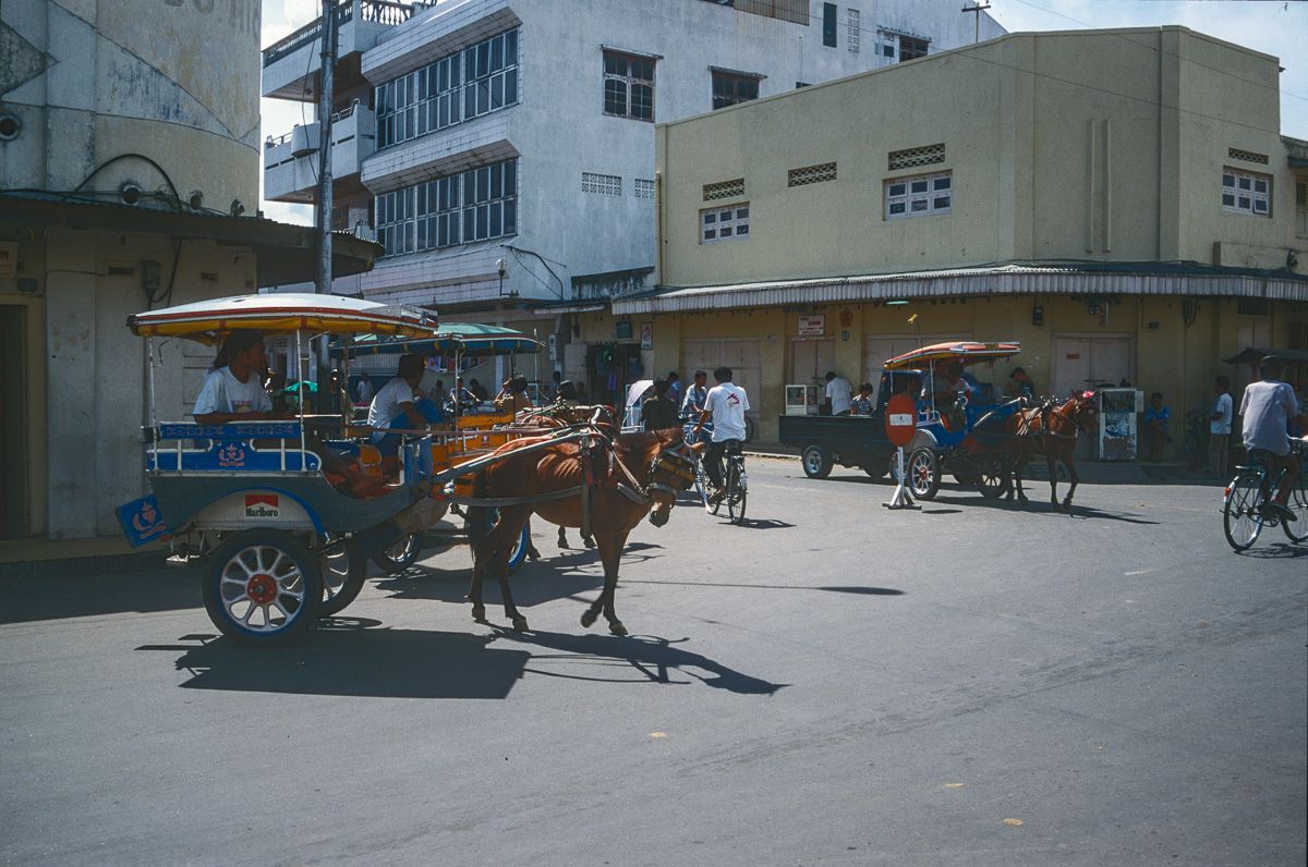 Sulawesi, Indonesia, 04, mit Auto, Lolak - Gorontalo, 250 km