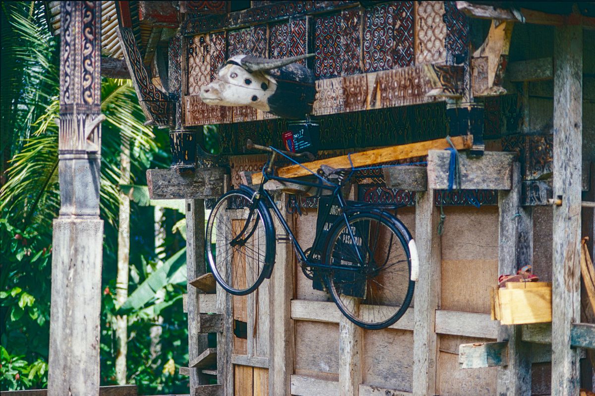 Sulawesi, Indonesia, 11, Palopo - Rantepao, 50 km