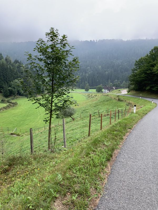 Feldkirchen - Himmelberg - Tiffnerwinkel - Feldkirchen
