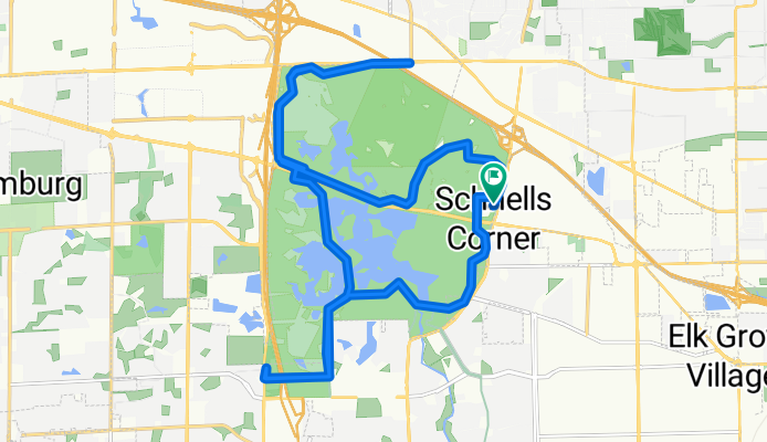 Busse woods