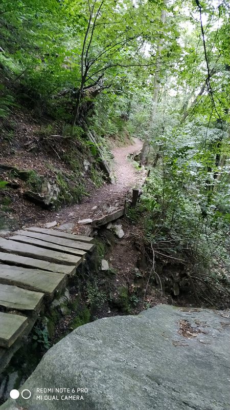 Brunate ➡️ Montepiatto