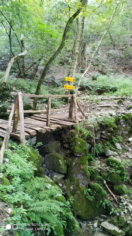 Brunate ➡️ Montepiatto