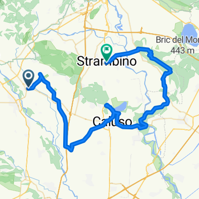 Castelli in Canavese II/II