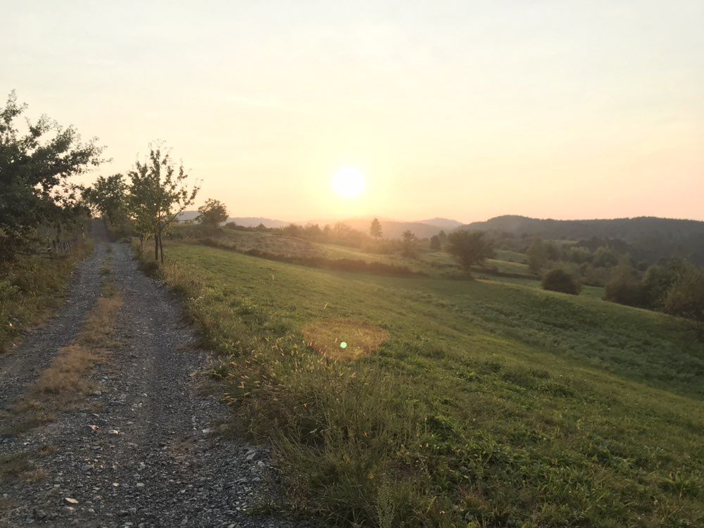 Digni puls na 180 i uzdahni zrak borovine