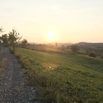 Digni puls na 180 i uzdahni zrak borovine