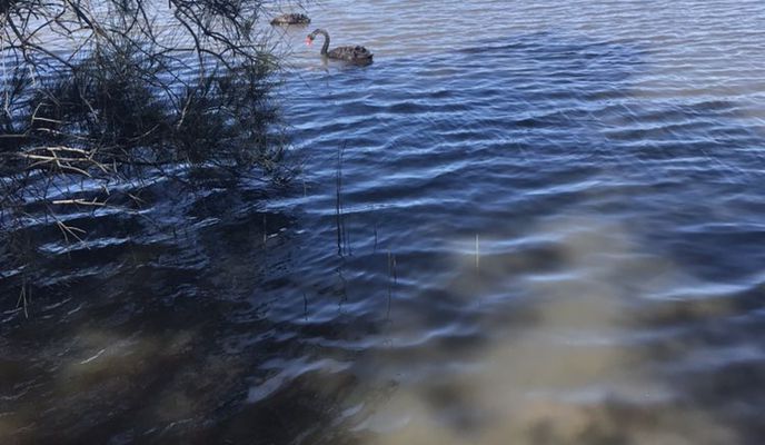 Photo 1 de l’itinéraire Bikemap « Restful route in North Narrabeen »