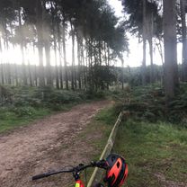 Photo 7 of the Bikemap route "Delamere Forest"