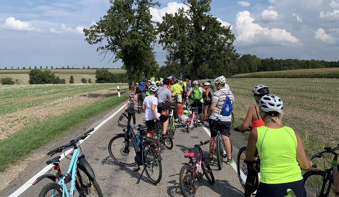 Foto 2 der Bikemap-Route "Langsame Fahrt in Zwickau"