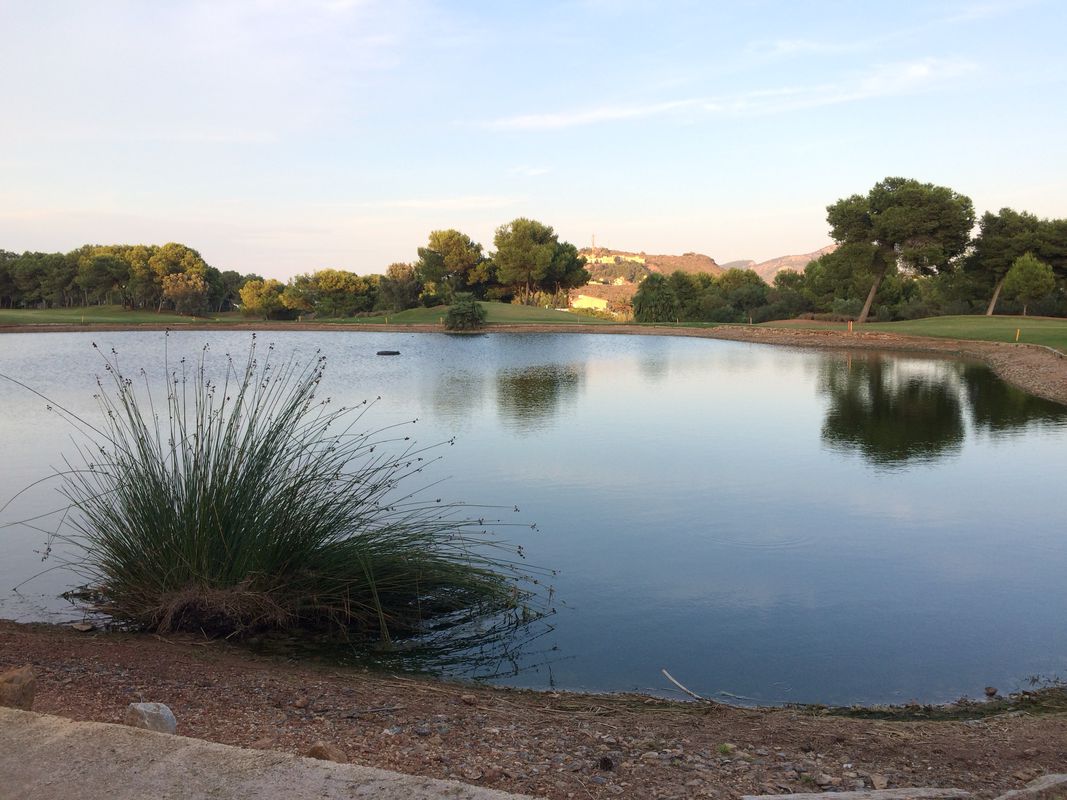 Paseo rápido en Atamaría