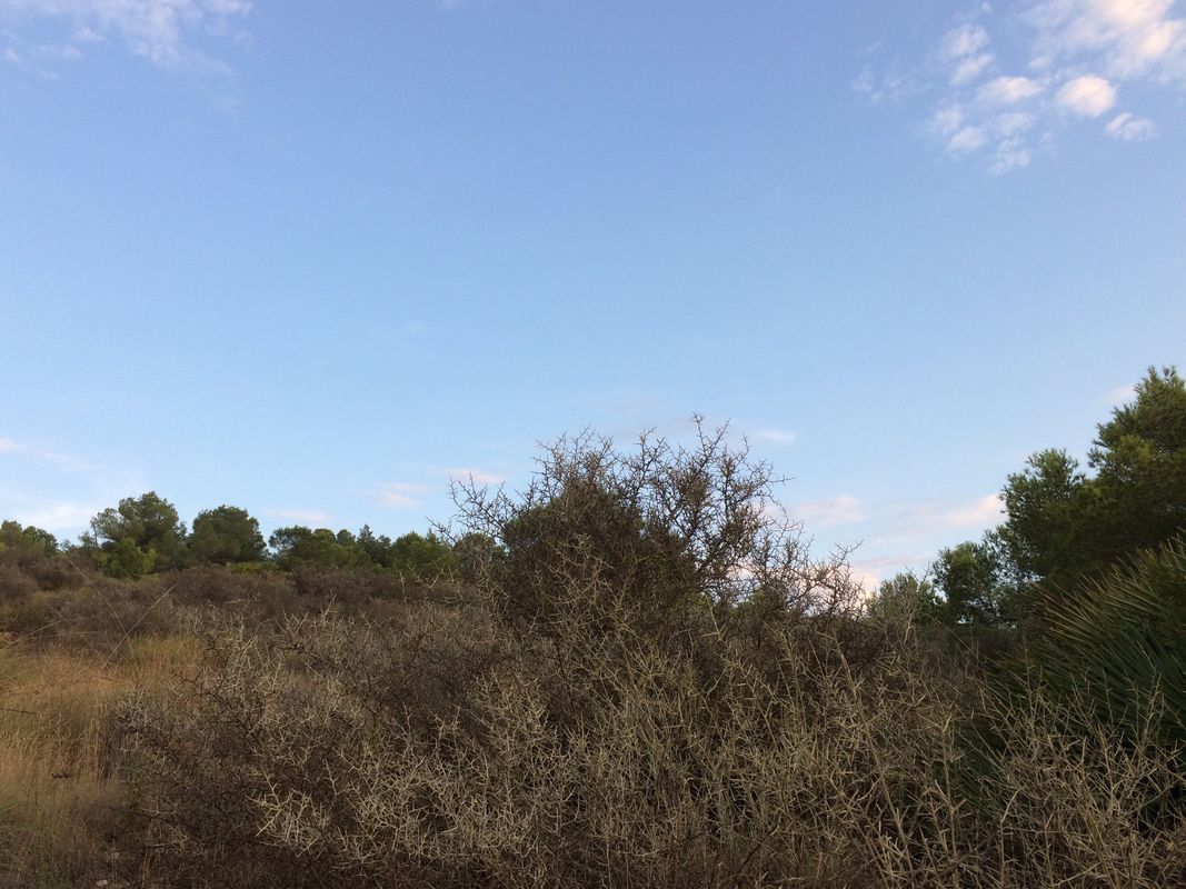 Paseo rápido en Atamaría