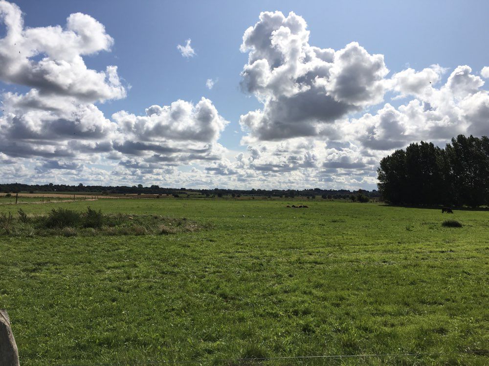 Entspannende Route in Nykøbing Sj